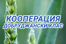 КООПЕРАЦИЯ ДОБРУДЖАНСКИ КЛАС